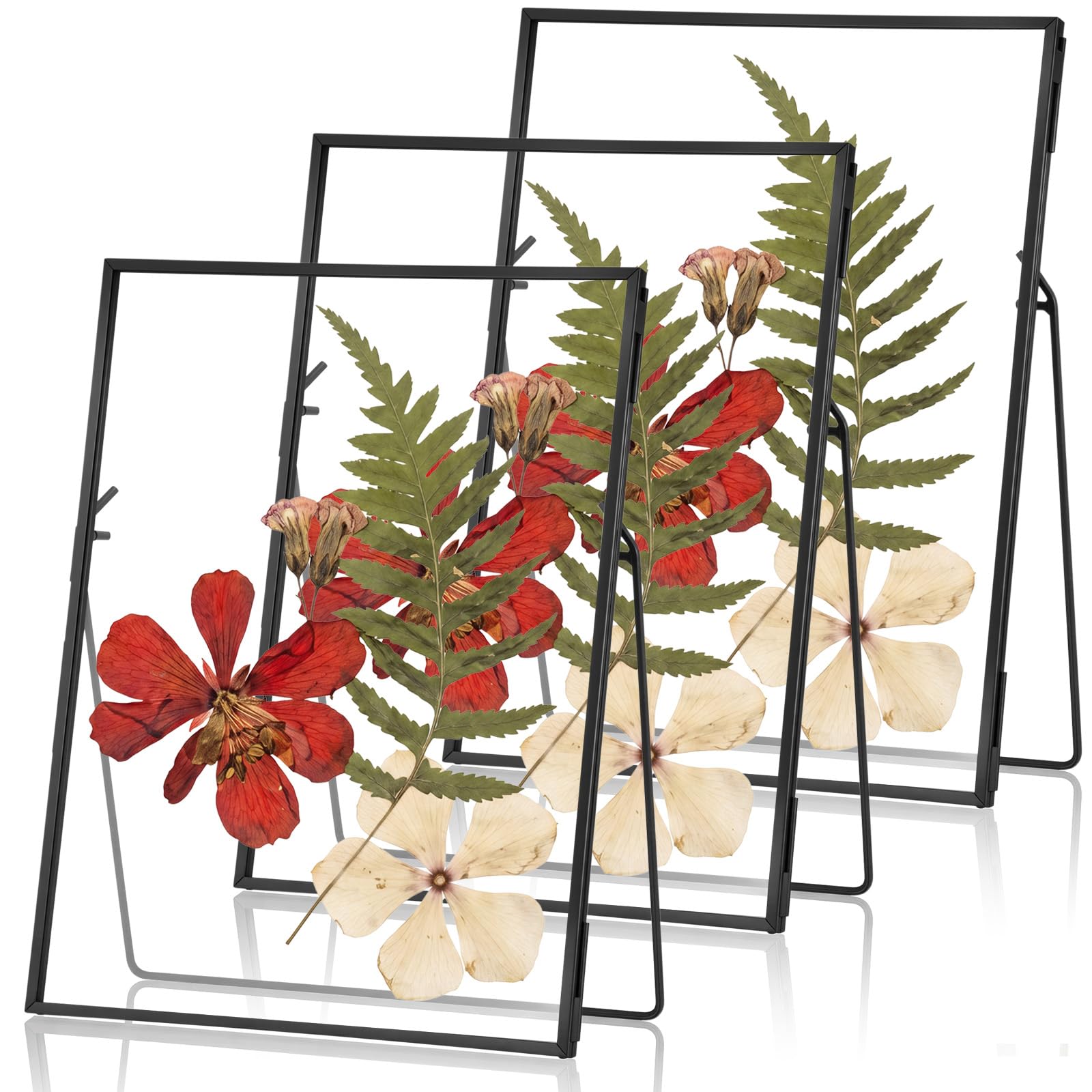 Vicenpal 3 Stück gepresster Blumenrahmen aus Glas, handgefertigt, 15,2 x 20,3 cm, schwebende Bilderrahmen für gepresste Blumen, Messing, Doppelglas für Tischdekoration, Heimbüro, Pflanzenexemplare