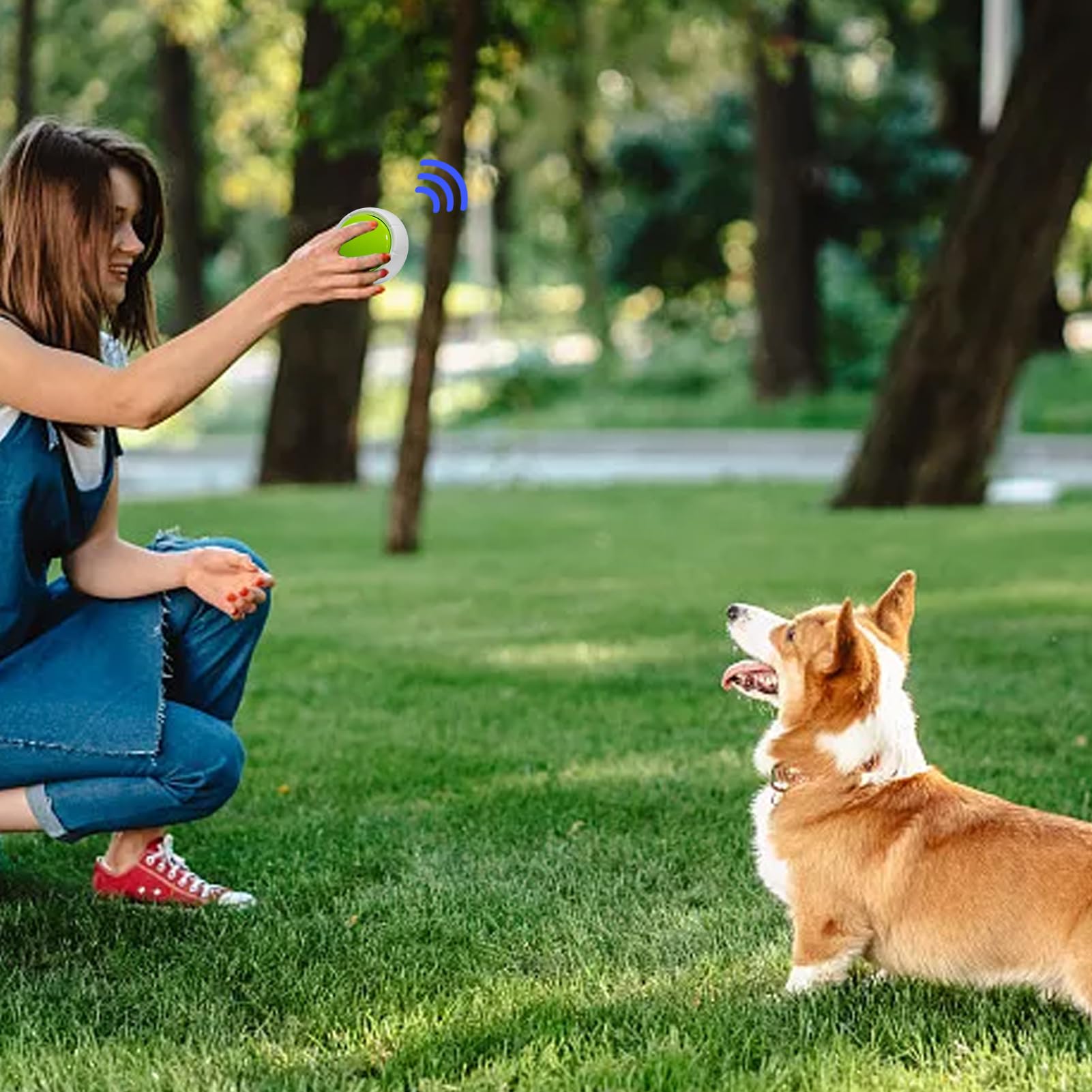 Pulsanti parlanti per cani, pulsanti parlanti per cani - Pulsante di registrazione vocale per l'addestramento del cane | Forniture interattive per animali domestici con registrazione e