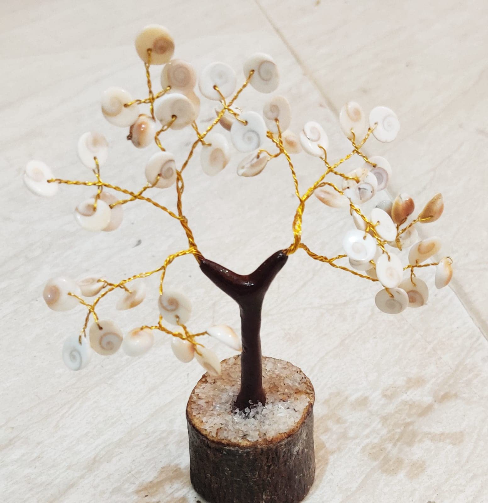 Buy Purvik Vastu feng Shui Gift Product Collection Natural Gomati