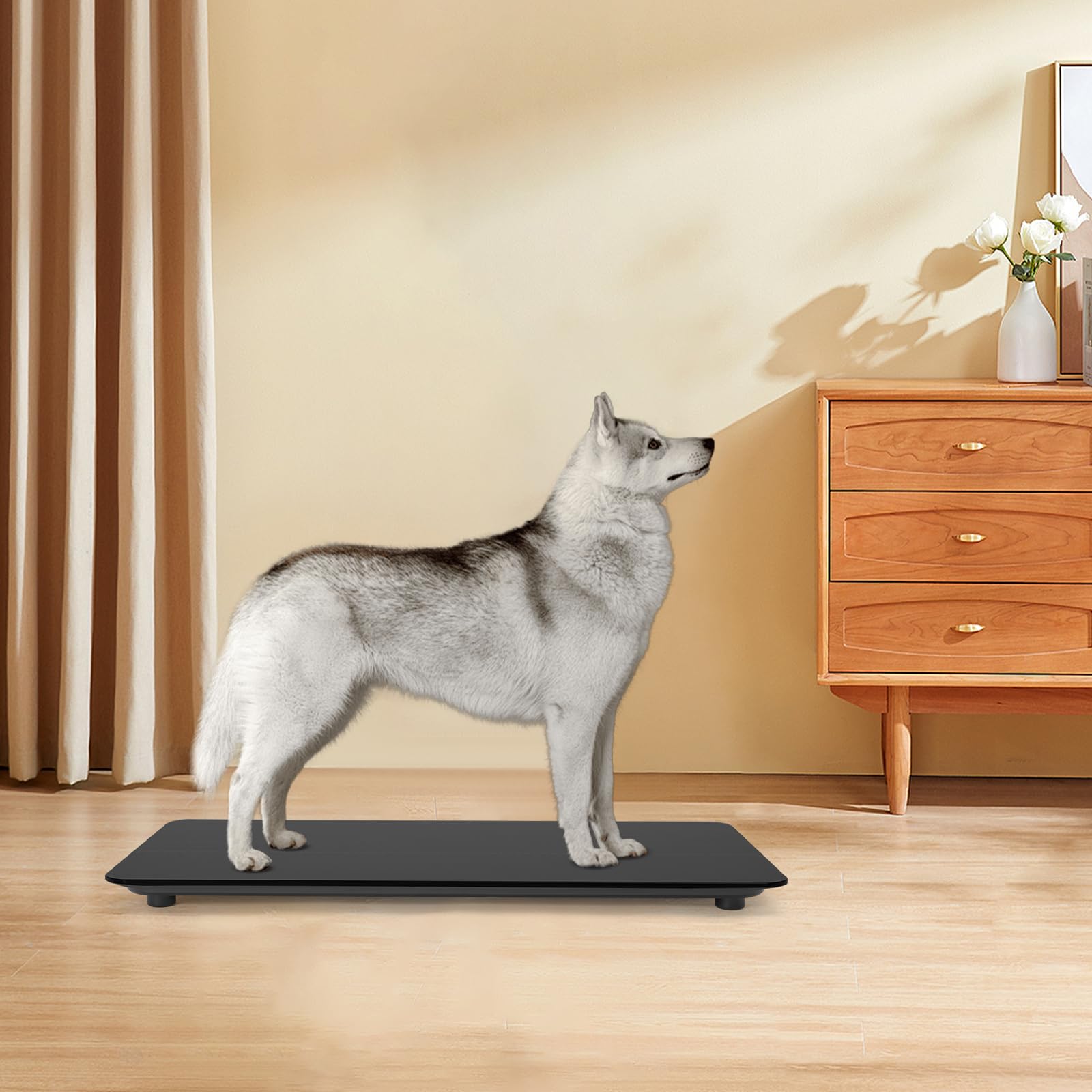 Digitale Haustierwaage Große Hundewaage bis 100kg Präzision 10g, LED-Anzeige, Doppelte Messeinheiten Bodenwaage Tierwaage Wägeeinheit kg/st/lb