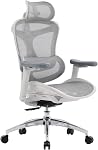 SIHOO Doro C300 Ergonomic Office Chair with Ultra Soft 3D Armrests, Dynamic Lumbar Support for Home Office Chair, Adjustable Backrest Desk Chair, Swivel Big and Tall Computer Chair (Grey)