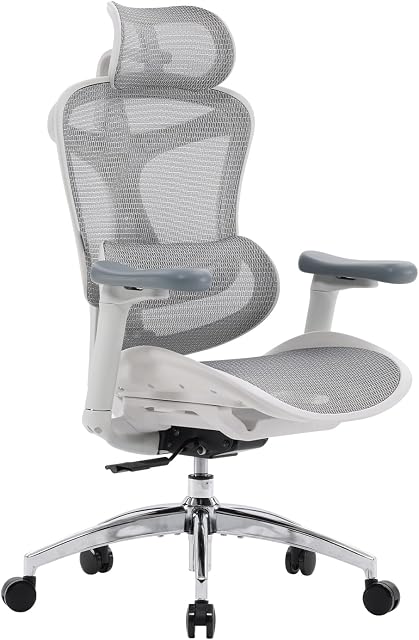 SIHOO Doro C300 Ergonomic Office Chair with Ultra Soft 3D Armrests, Dynamic Lumbar Support for Home Office Chair, Adjustable Backrest Desk Chair, Swivel Big and Tall Computer Chair (Grey)