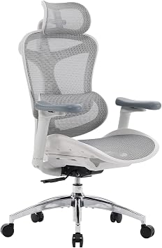 SIHOO Ergonomic Office Chair with Ultra Soft 3D Armrests, Grey
