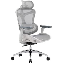 SIHOO Doro C300 Ergonomic Office Chair with Ultra Soft 3D Armrests