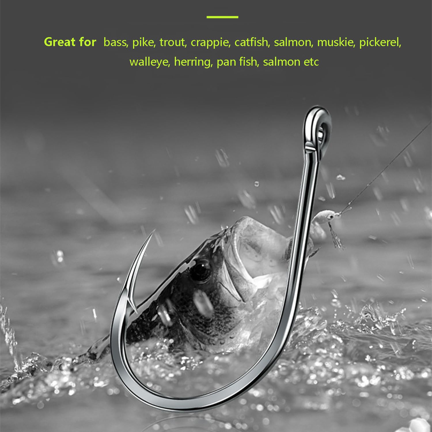Gxamz Small Trout Hooks Set, 10 Sizes for Freshwater Fishing (300pcs, Black) : Sports & Outdoors