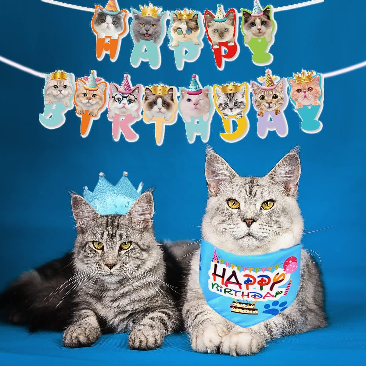 市場 Pattepoint 飾り付け ペット セット 猫 犬誕生日帽子 Happy Birthdayバナー 誕生日 市場 Pattepoint 飾り付け ペット セット 猫 犬誕生日帽子 Happy Birthdayバナー 誕生日