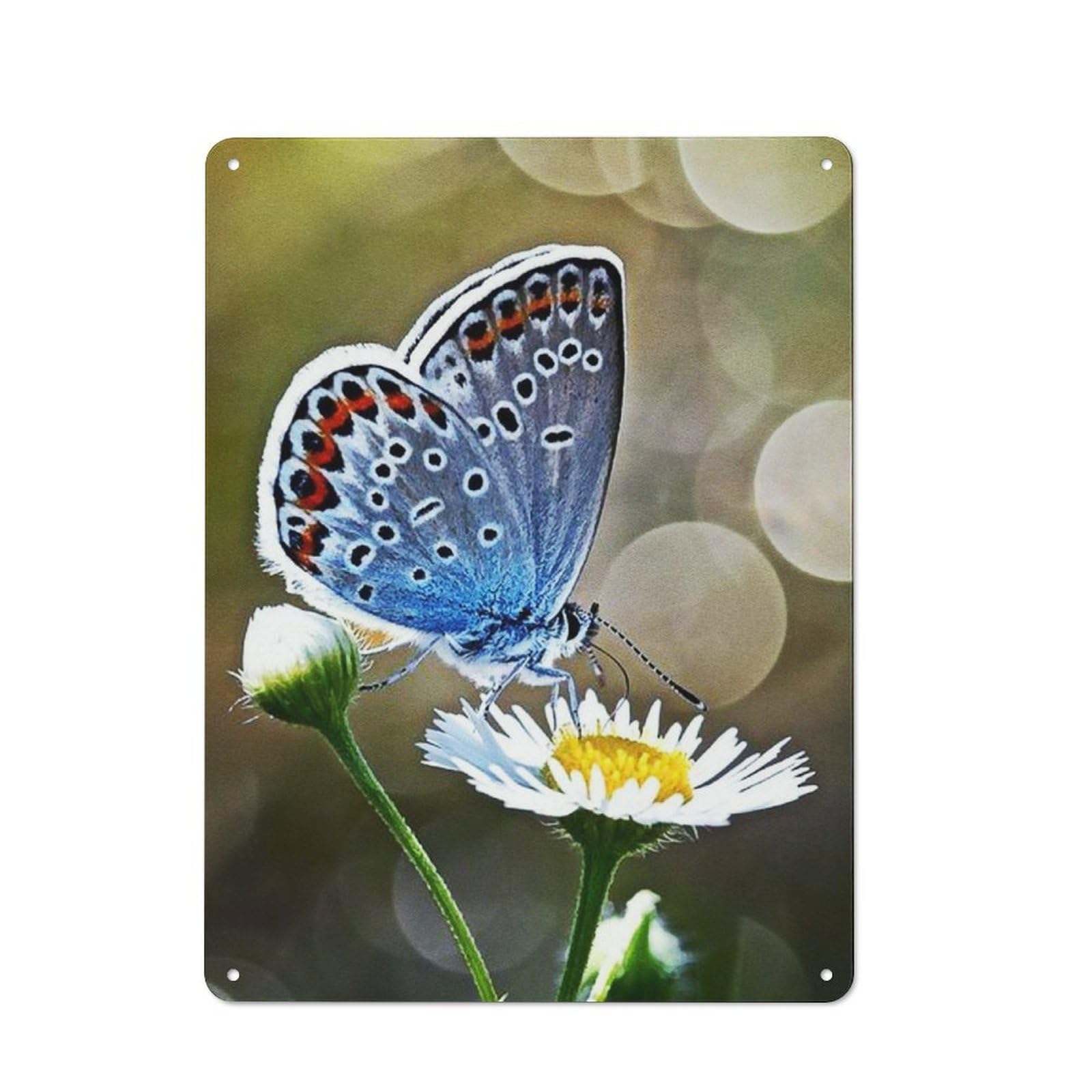 Junmoney The Beatuful Morning Tin Wall Plaque 40X30cm With For Pub Or Café, Suited To Pub Decor Enthusiasts, For Retro Home Interiors