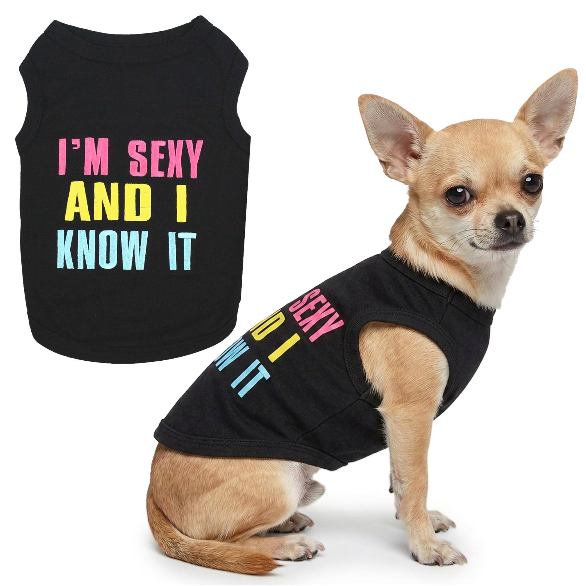 T-Shirt pour Chien Parisien pour Animal Domestique - Vêtement souple coupe petite taille