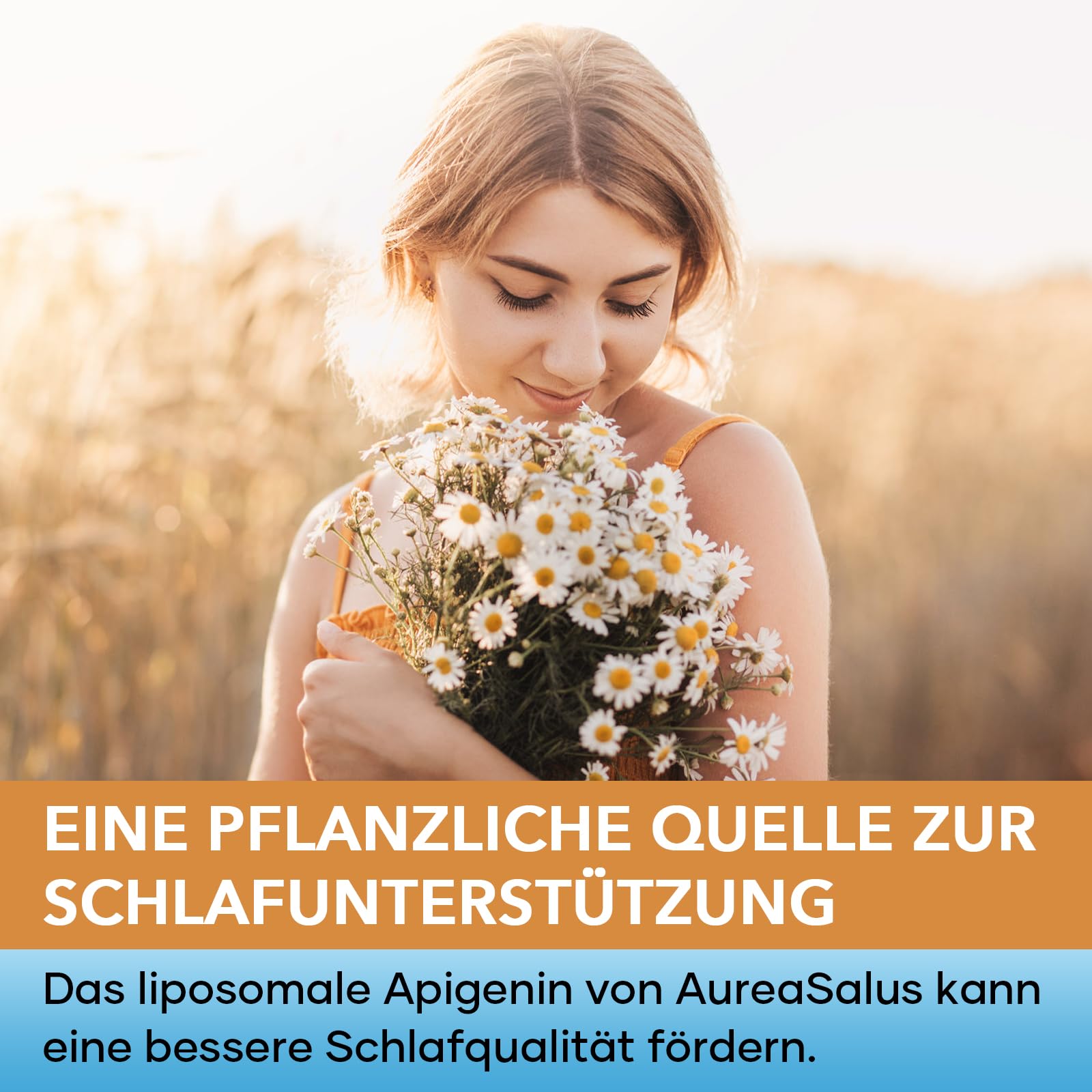 Apigenin 600 mg, Supplément d'apigénine Liposomale Extra fort Avec Fisétine, Quercétine et Théaflavines (60 Unité (Lot de 3))