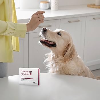 PE ヘパテクトプレミアム 60粒【犬猫用、QIX、肝臓】ヘパテクトプレミアム Amazon.co.jp: QIX(キックス) PE ヘパテクト プレミアム 60粒 犬