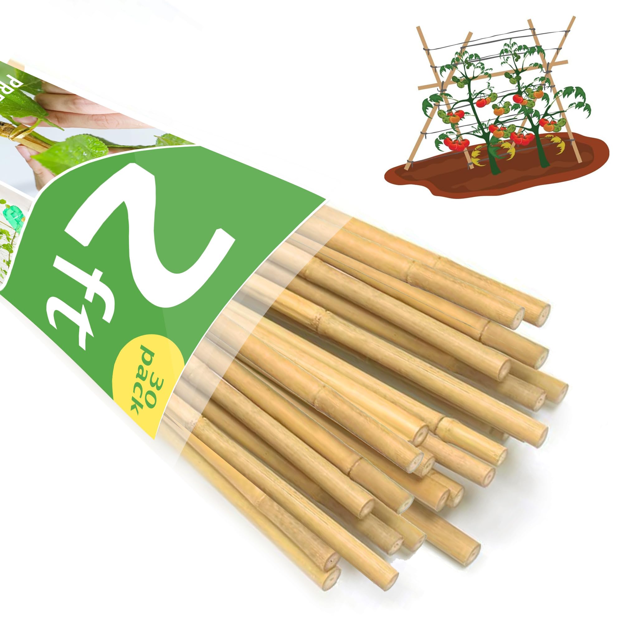 Bamboo Garden Stakes 2ft, 2 Feet Plant Stakes 30 Pack for Outdoor Indoor Plants, Support Tomato, Vegetables Beans, Flowers, Potted and More Climbing Plants