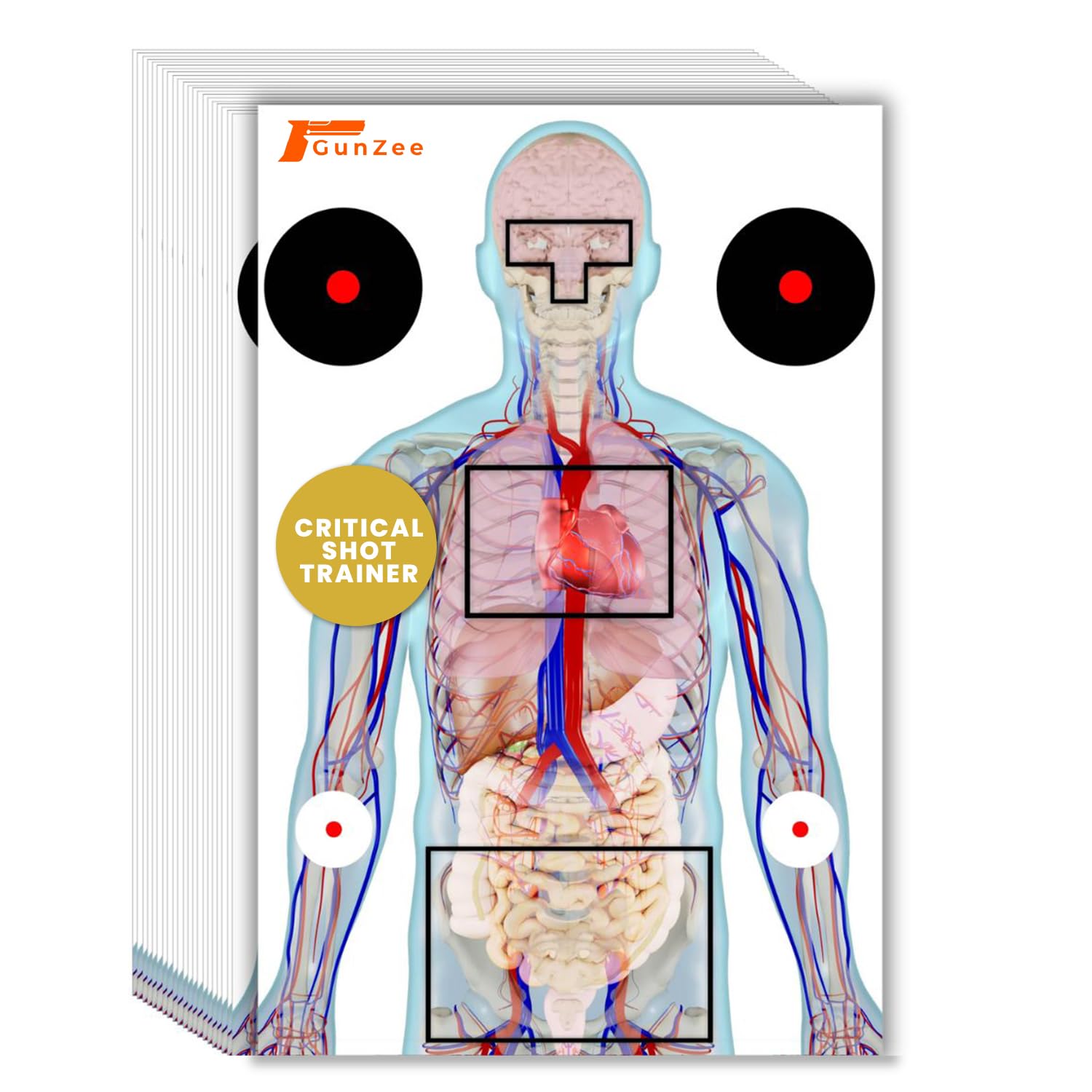 GunZee Anatomical Shooting Targets, Paper Anatomy Targets for Shooting Range, Ideal for Handgun, Airsoft Pistol, Rifle, BB Gun, Pellet Gun Practice, Tactical &amp; Self-Defense Training