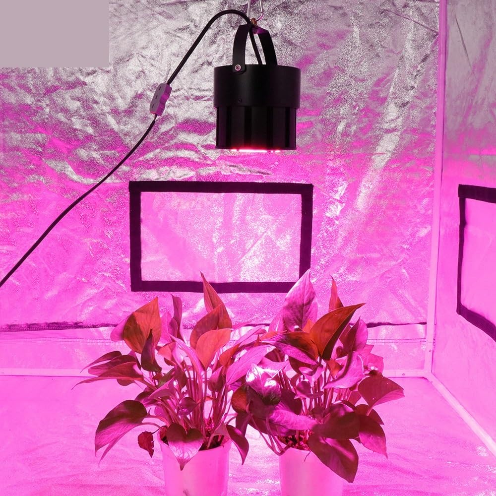Lampada per Piante, 1000W Spettro Completo COB LED Coltiva La Luce Phyto Lampada for Piante D'appartamento Idroponiche Fiori Serra Piantine Luce di Crescita(370 to 780nm)