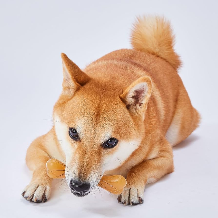 ペティオ かんでるコーン デンタルTOY 2個セットM　中型犬 4903588274206_a.jpg