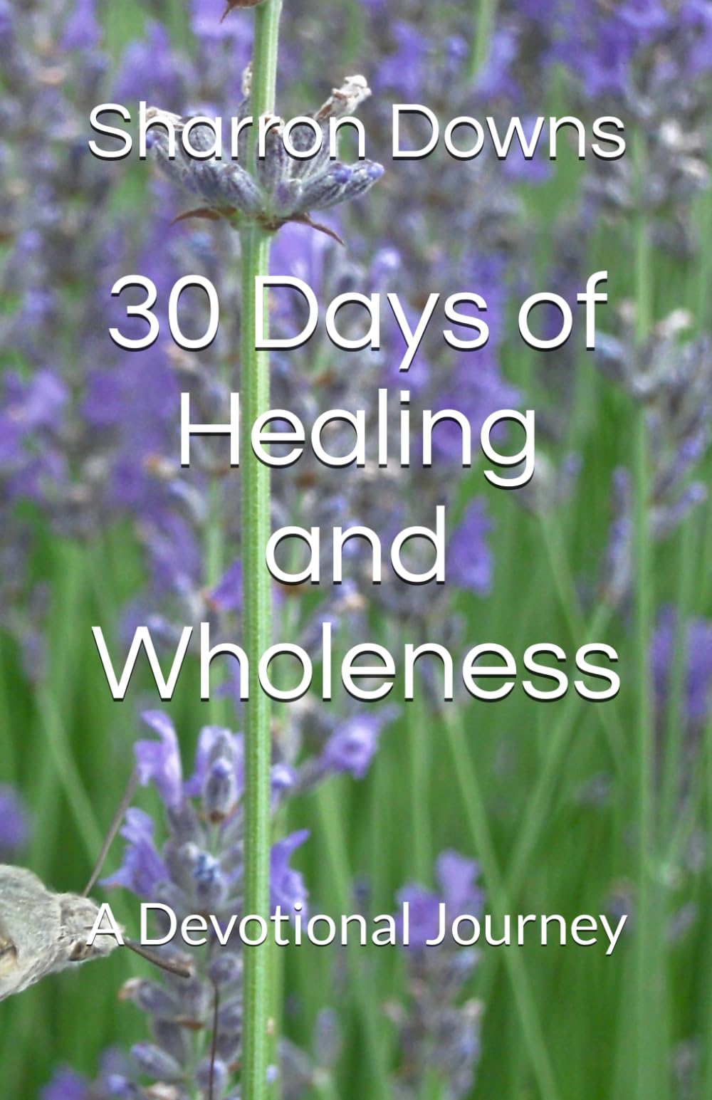 30 Days of Healing and Wholeness: A Devotional Journey