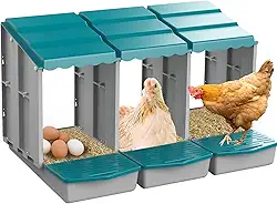 JELSVOP Caixas de nidificação para galinhas, caixas de nidificação de galinhas com coleção de ovos e poleiro para facilitar a colheita dos ovos, caixas de nidificação para colocar ovos com 3