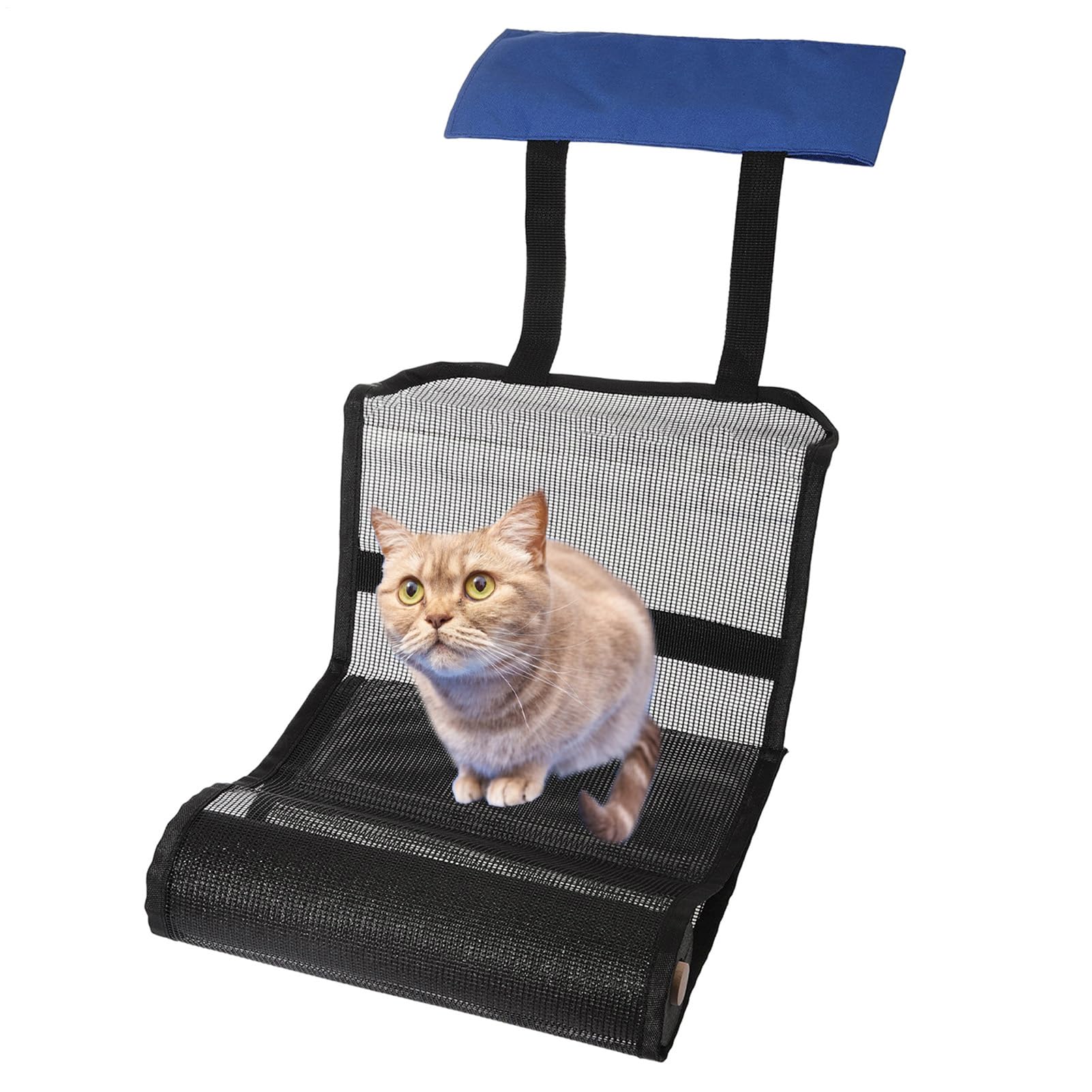 Rampe d'évasion – Échelle d'évacuation de 27,9 cm, rampe de sauvetage robuste pour animaux, pliable et variable en tissu Oxford pour grenouille | Protection multifonction en maille bleue, rampe