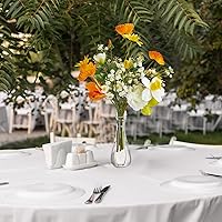 Vista 4 de Mumufy 12 jarrones de cristal acrílico para centro de mesa, de plástico transparente, jarrón de cristal acrílico, pequeño jarrón resistente a