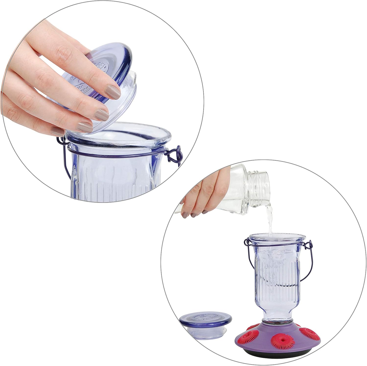 Perky-Pet 9101-2 Lavender Field Top-Fill Glass Hummingbird Feeder Purple 16 oz Capacity