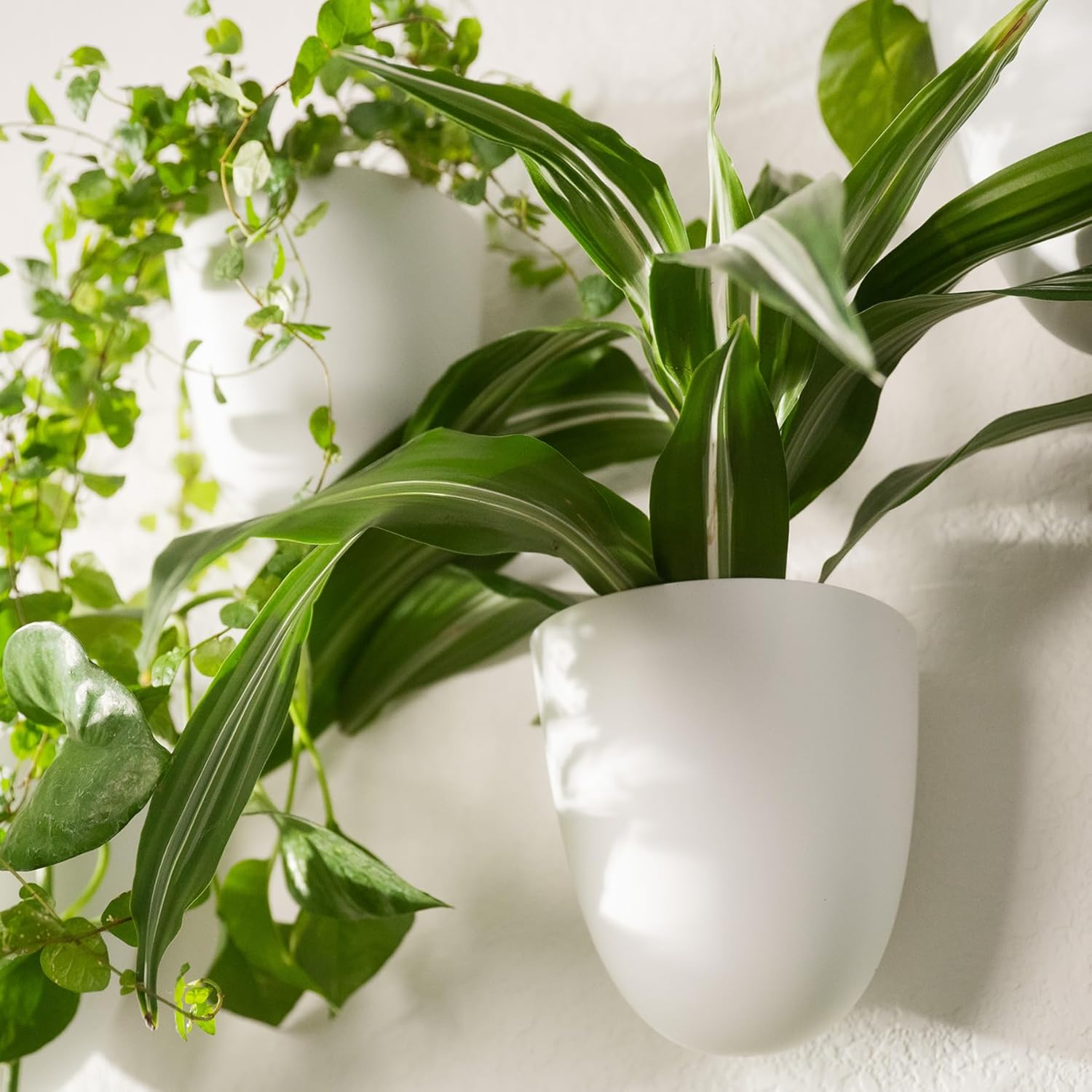 PlantPod Classic - Self-Watering Wall Planters (6, White) - Easy to Water and Install - Lightweight - Design Your Own Vertical Garden - Wall Planters for Indoor Plants