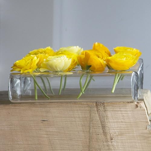 Miniatura 2 de Chive "Hudson 2 Flute" Jarrón de flores  Hermoso jarrón de vidrio transparente de múltiples cámaras con 8 agujeros de tamaño mediano  Jarrones de