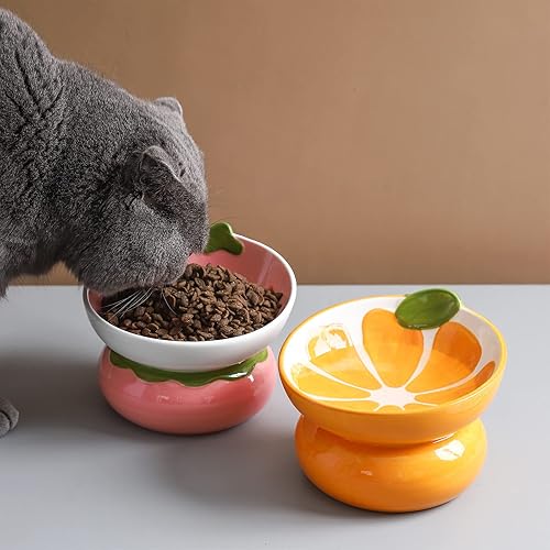 Miniatura 5 de Cuenco elevado de cerámica para gatos de interior, antivómitos y protege la columna vertebral de las mascotas, lindo plato inclinado con temática de