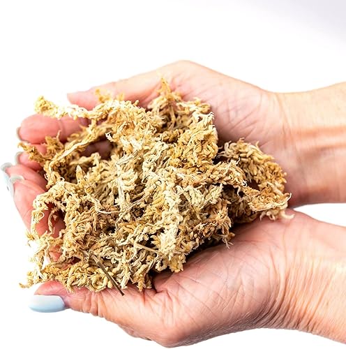 Miniatura 4 de Musgo esfagnum de grado prémium  20 cuartos de galón  Orquídea de musgo de fibra larga orgánica mezclada a mano de Nueva Zelanda  4 bolsas de 5