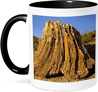 3dRose Tree, Petrified Forest Wilderness, North Dakota - US35 CHA0195 - Chuck Haney 11oz Two-Tone Black Mug