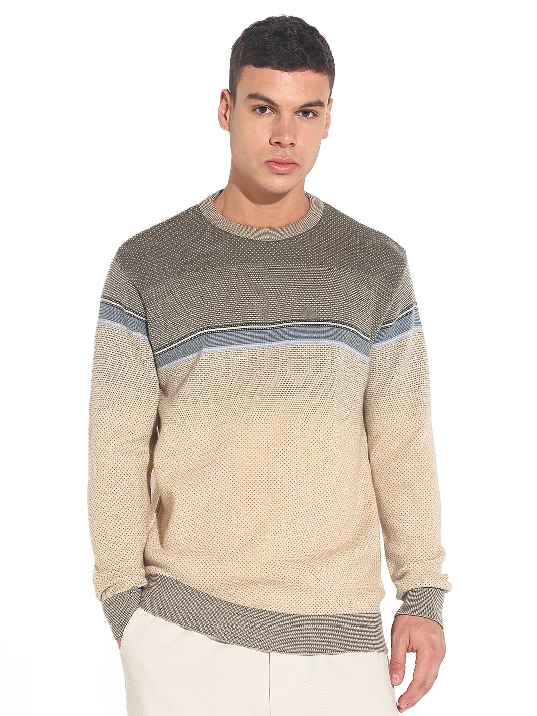 showoffff Edition Men's Colourblocked Beige Ribbed Round Neck Sweater-LBR-2523_Beige-picture-18