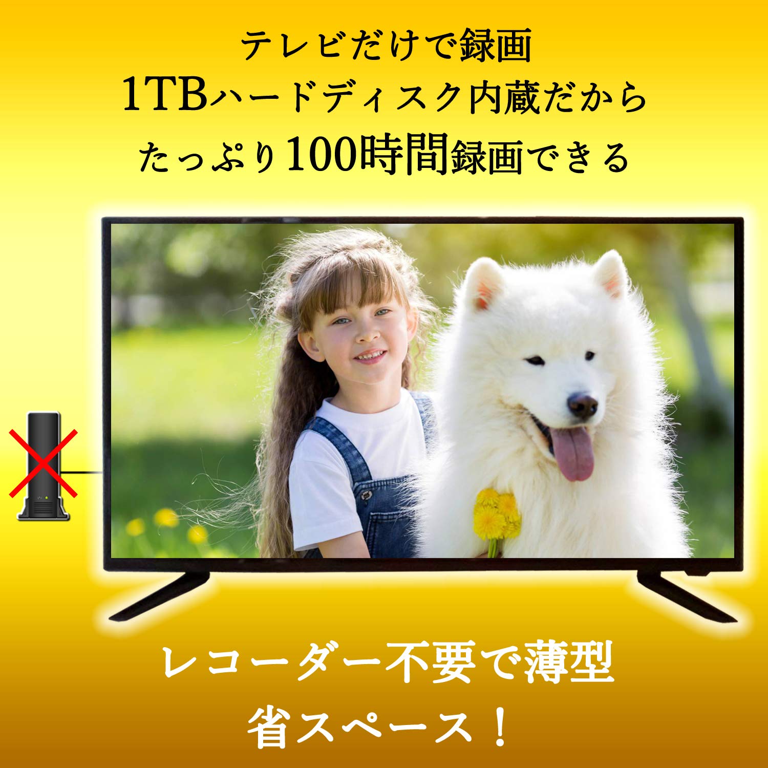 Amazon | グランプレ 40V型 1TB ハードディスク内蔵 録画テレビ (PC 