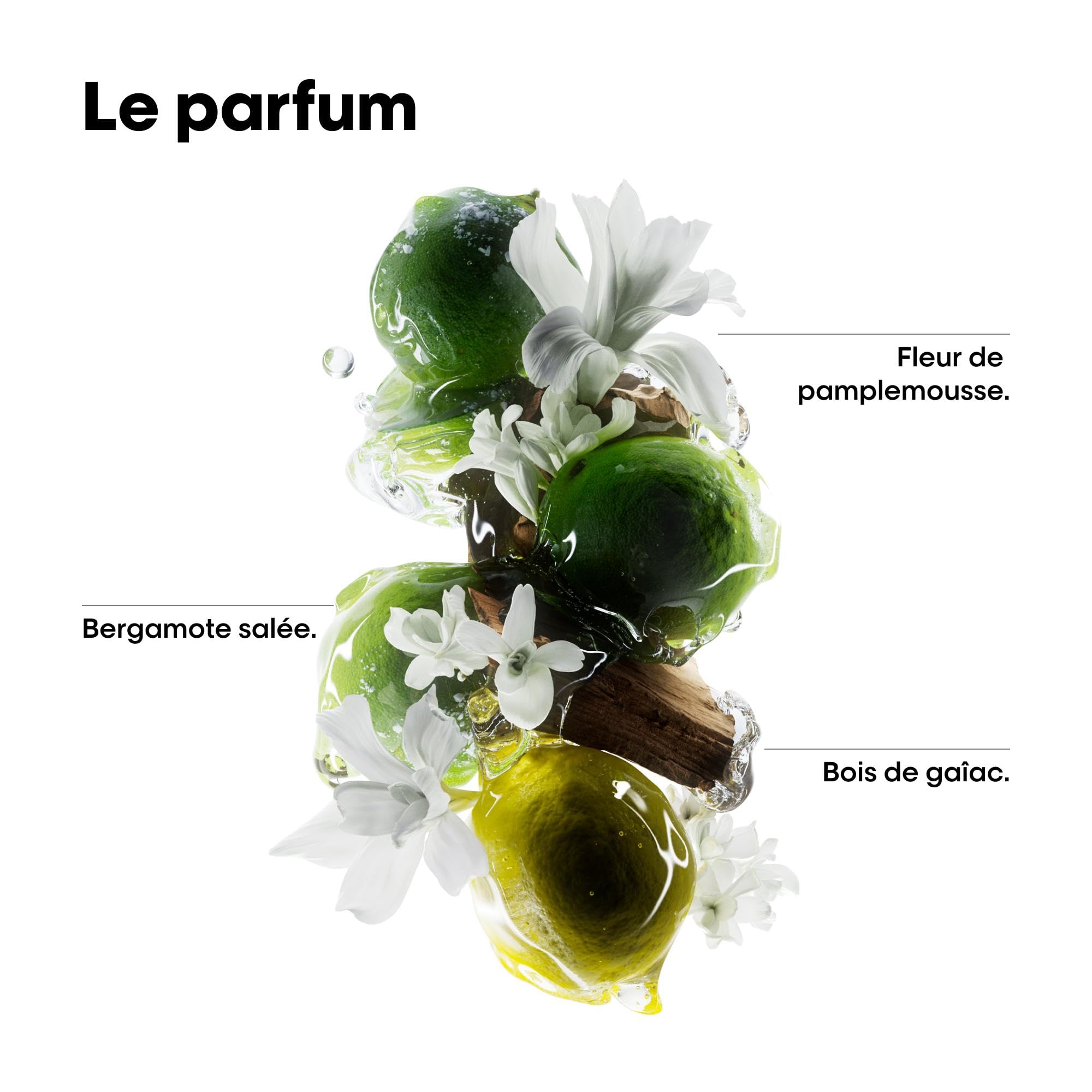 L'OREAL PROFESSIONNEL - Routine Pour Cheveux Abîmés & Cassants - Metal Detox - -97% de Casse & +96% de Souplesse - Cheveux 10x plus Hydratés - Shampoing (100ml) + Masque (75ml)