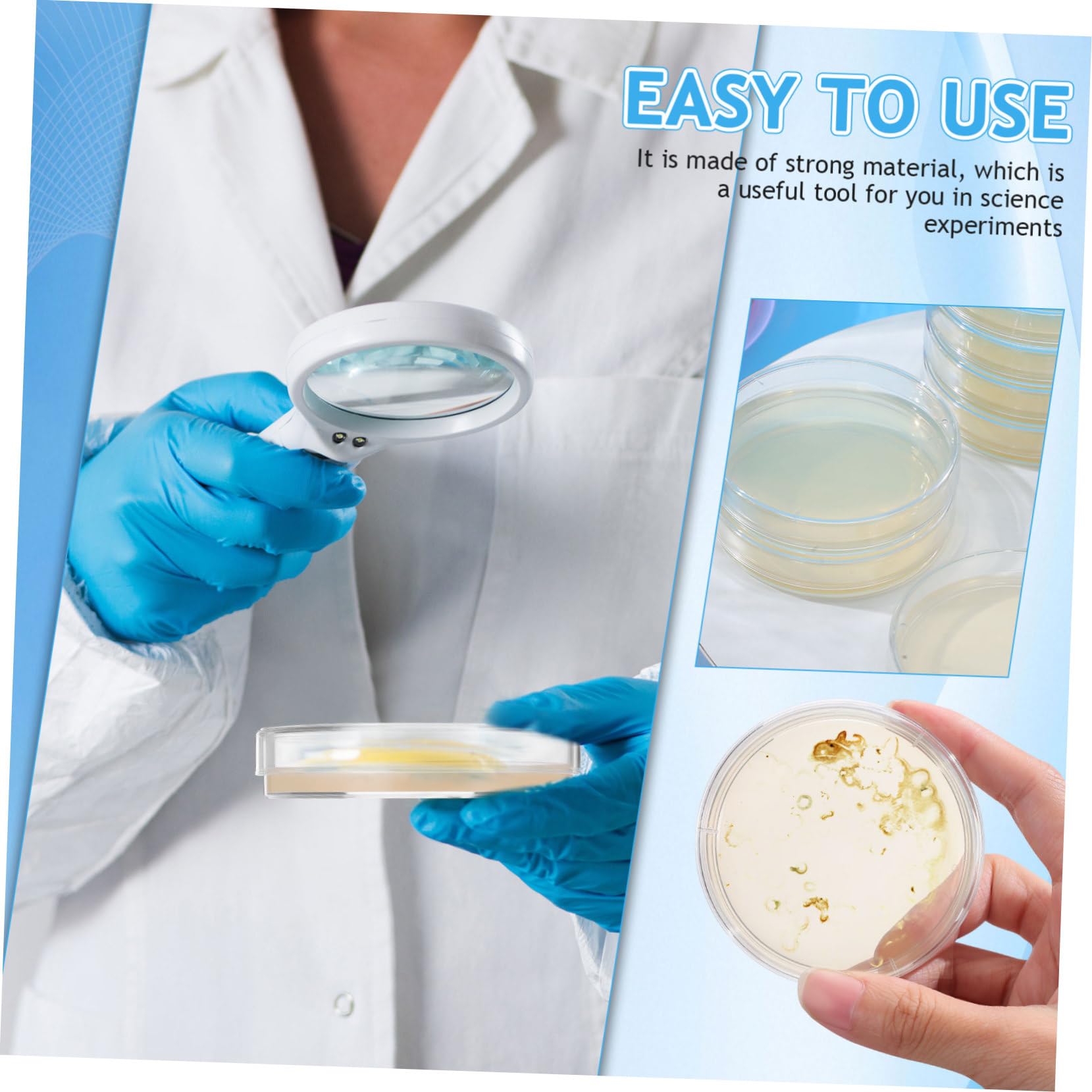 Placa de Petri Pre-vertida 7cm con Agar Nutritivo, 10 Piezas | Placas de Petri con Agar, Placas de Agar para Laboratorio, Decoracion Colegio