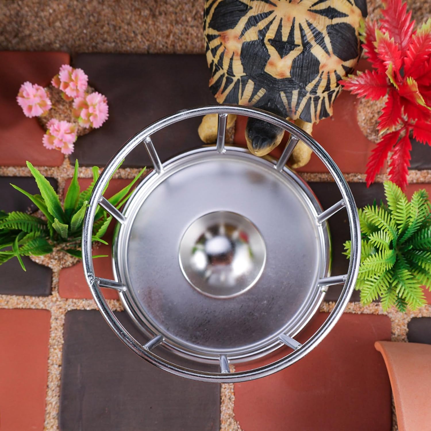 Turtles Feeding Dish Terrapins Water Dish Stainless Steel Durability Reptiles Bowl for Safe Reptiles Handling Secure Feeding Platform