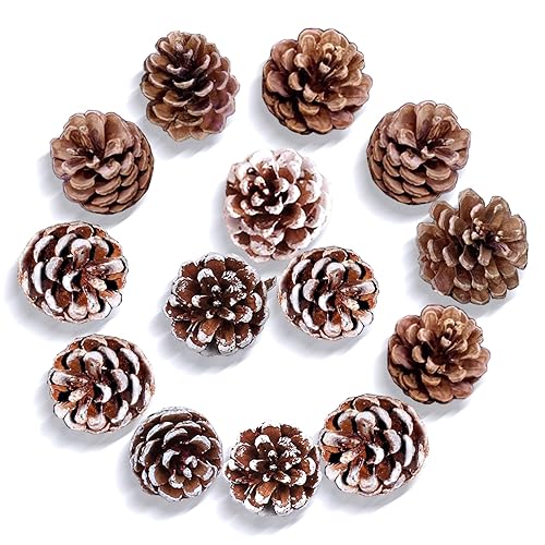 15PCS Christmas Pine Cones, Pine Cones Bulk - Natural Pine