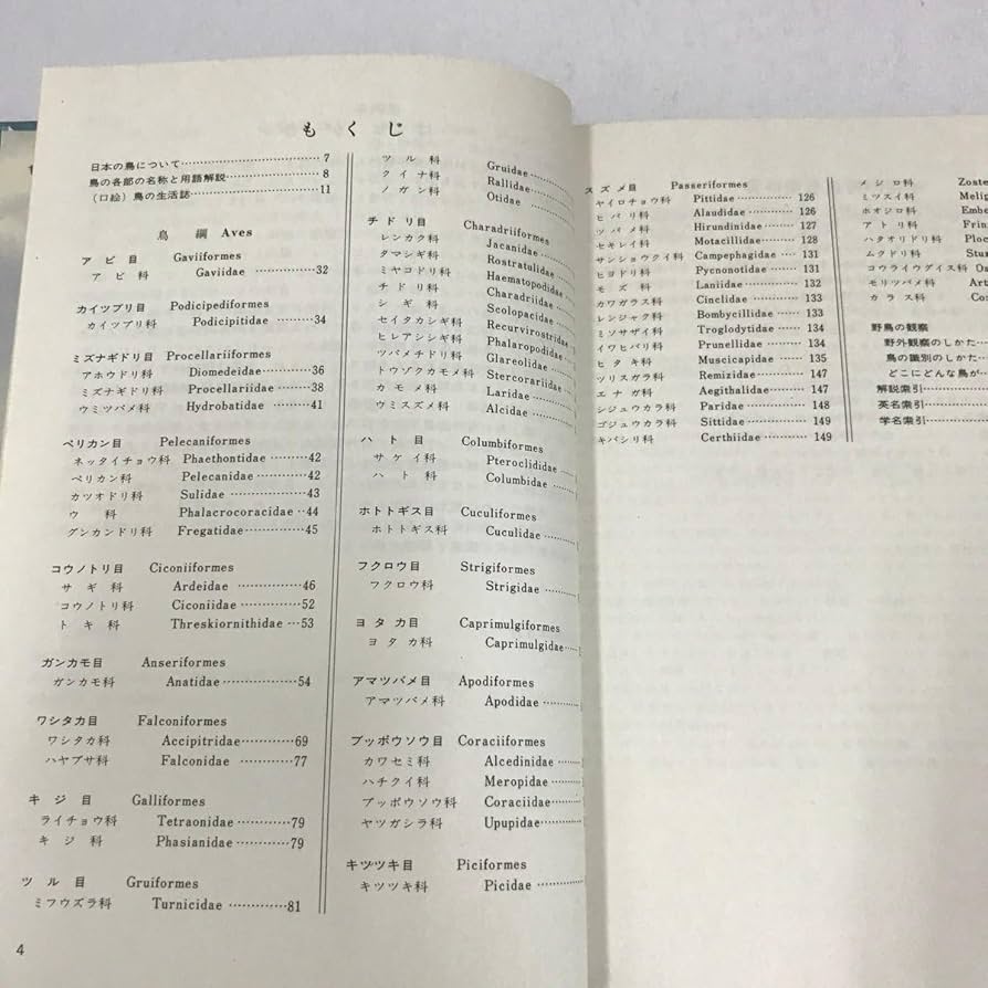 鳥類学 BIRDER 10月号 本日発売！ 特集は「鳥の分類学入門」です