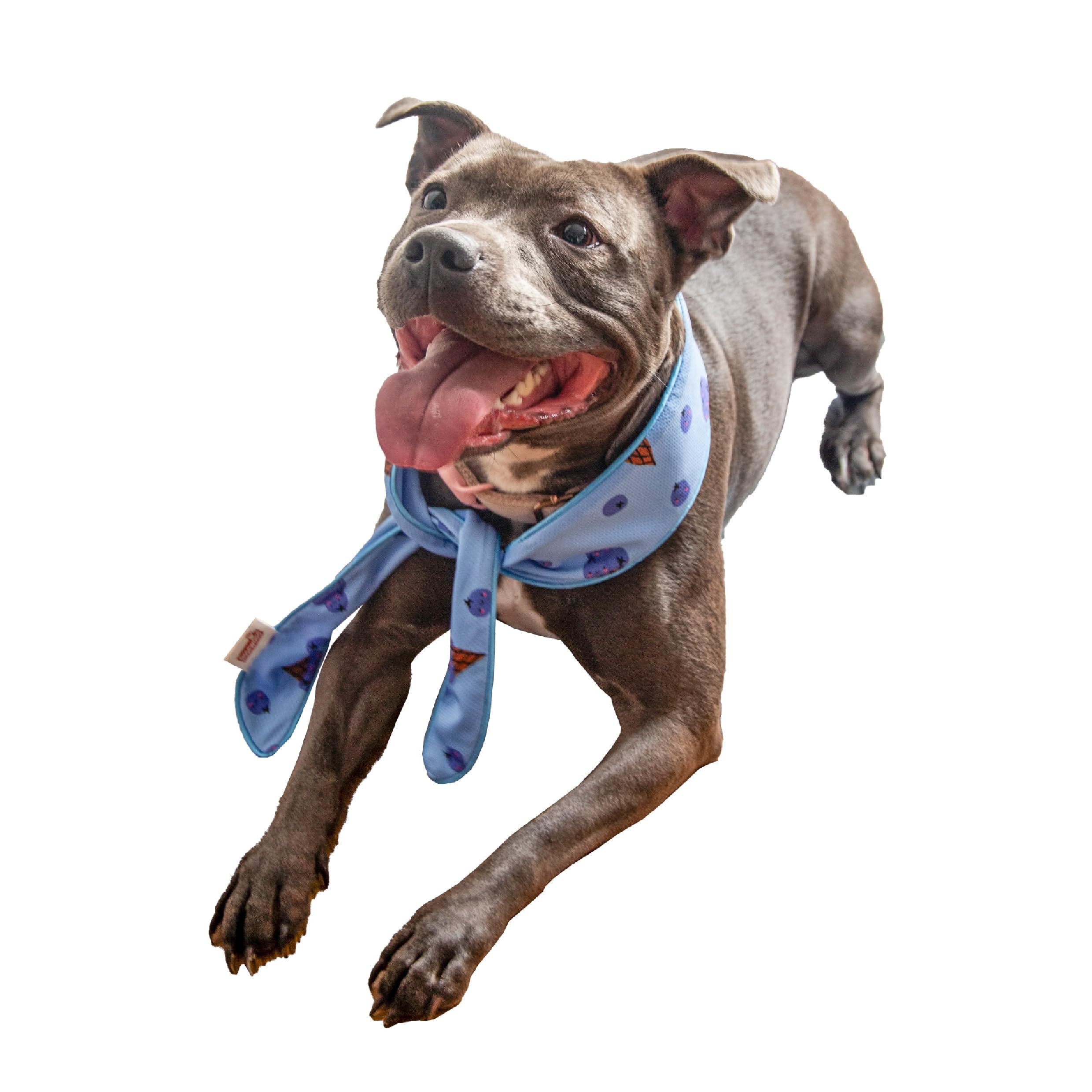 Rosewood Cooling Neckerchief - Large