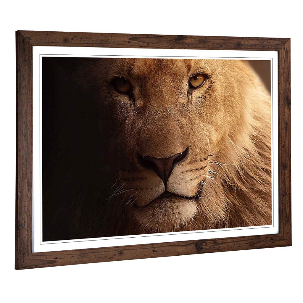 Big Box Art Framed Print of Lion Design | Wall Art Picture | Home Decor for Kitchen, Living, Dining Room, Lounge, Bedroom, Hallway, Office, Walnut, A2 / 24.5x18 Inch / 62x45cm