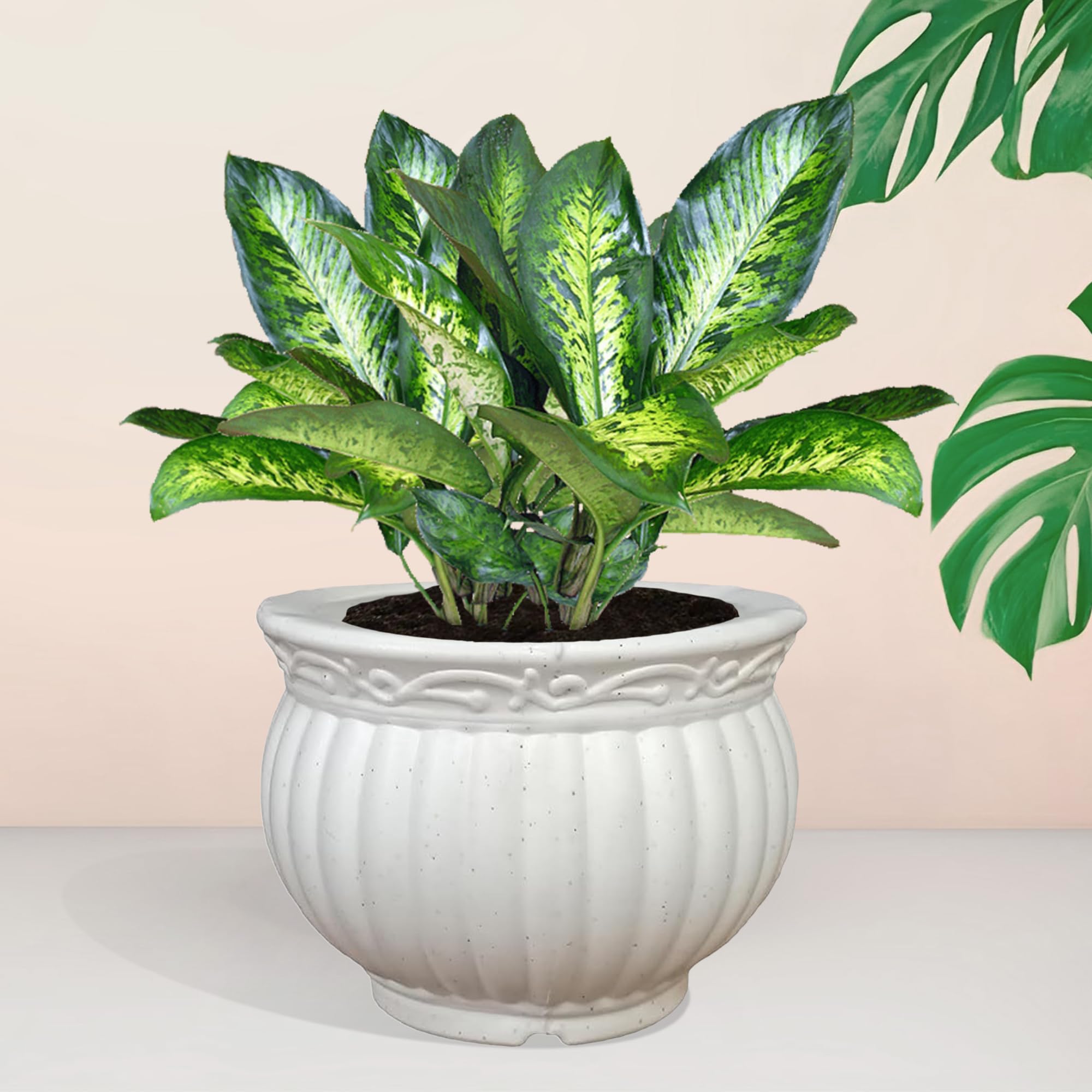 Heart Home Kanha Matki Flower Pot - White -2
