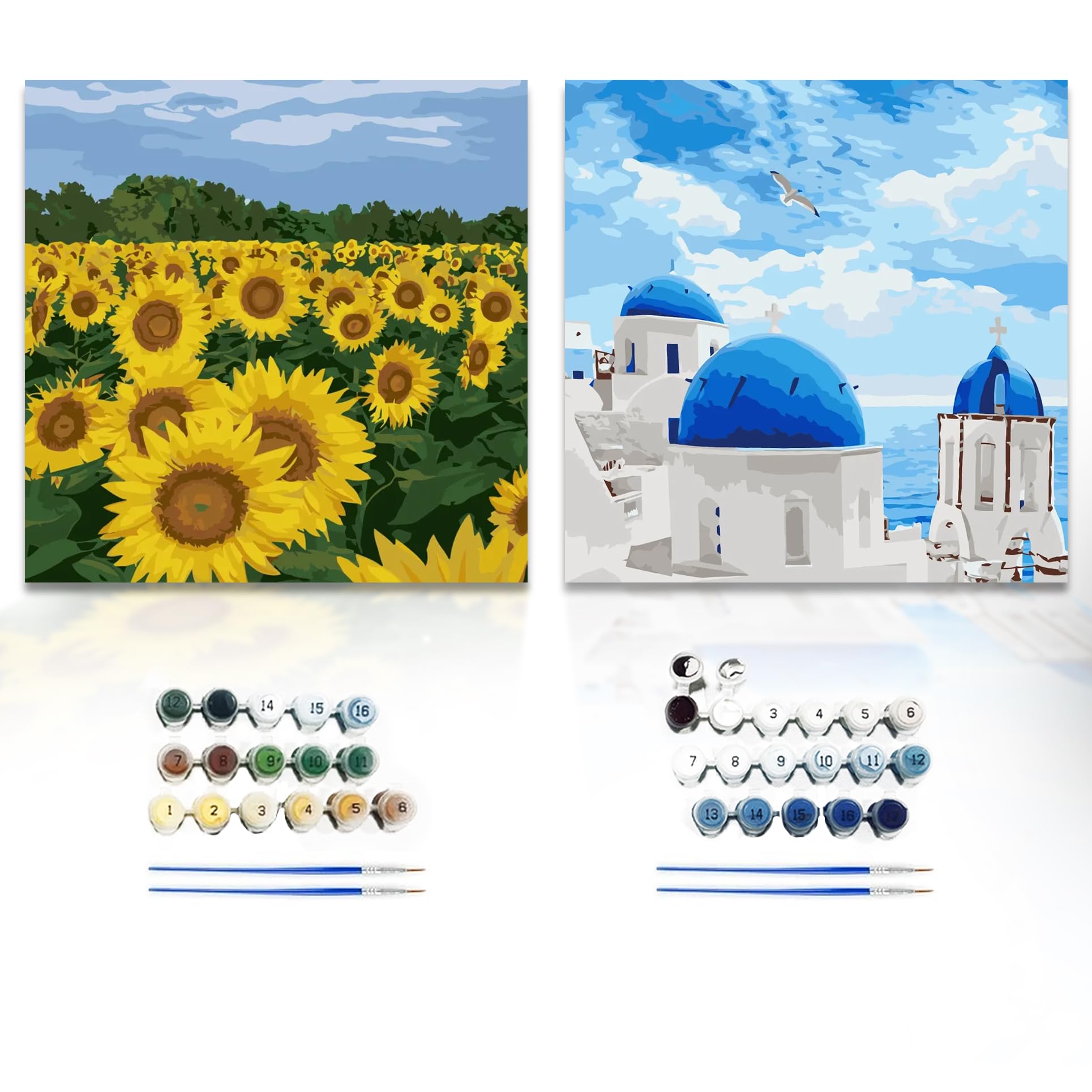 Willow ® Pintar por Numeros Adultos,Pintura por Números,Kit de Pintura por Numeros con Pinceles,Pack Dos Lienzos,Pigmento acrilico 25x25cm (Sin Marco)