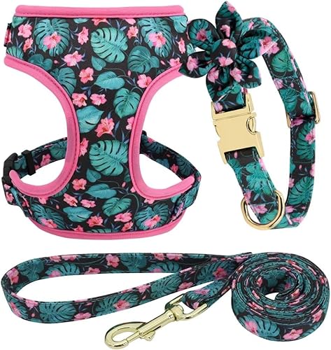 Miniatura 1 de Beirui Lindo juego de collares, arneses y correas para perro hembra, juego de collar y correa ajustable con flor, arnés de malla suave para