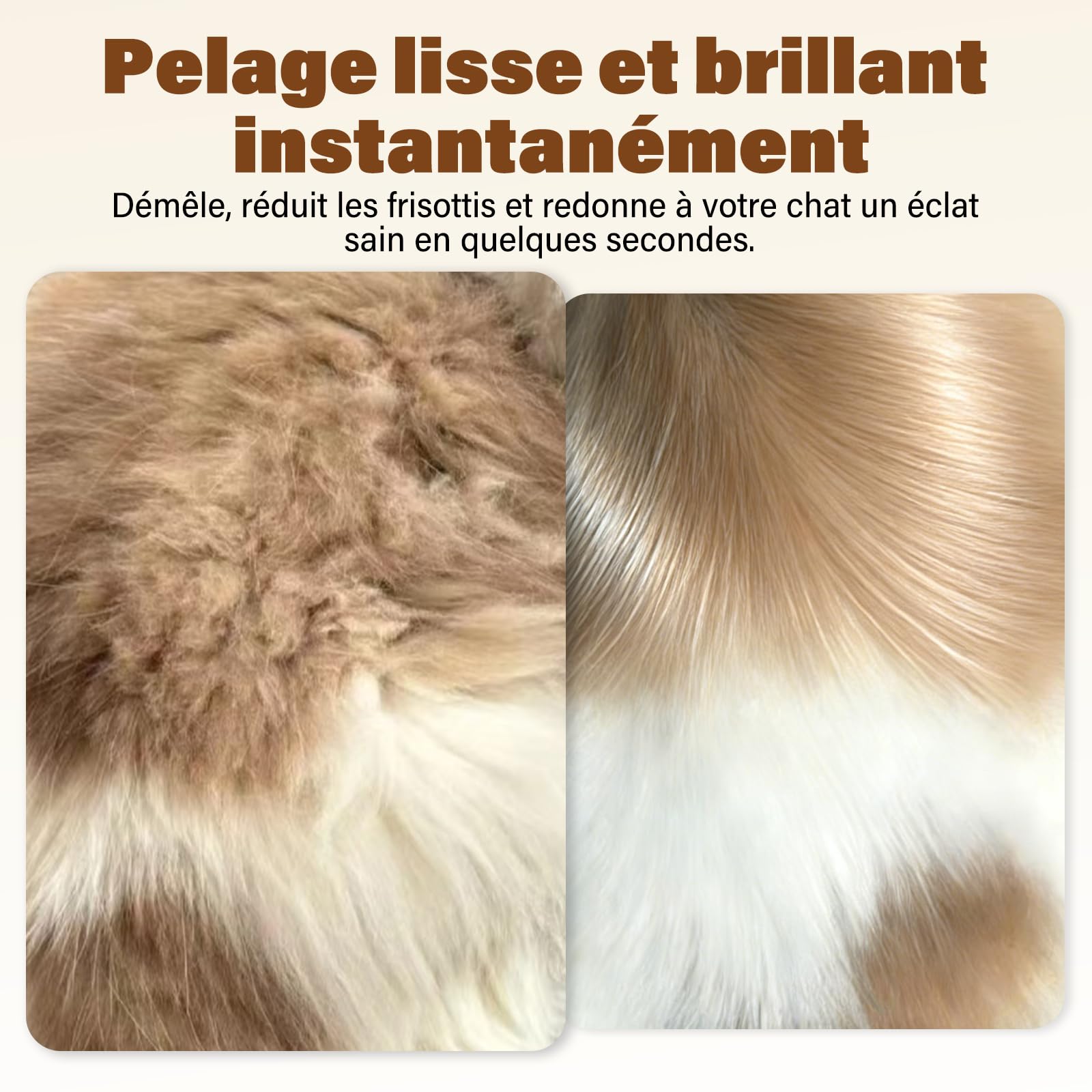 Shampoing Sec pour Chats – 200 ML, Parfum Noix de Coco, pH Neutre pour la Peau, nettoie et Prend Soin en Douceur, démêle et Hydrate – Convient aux Peaux sensibles