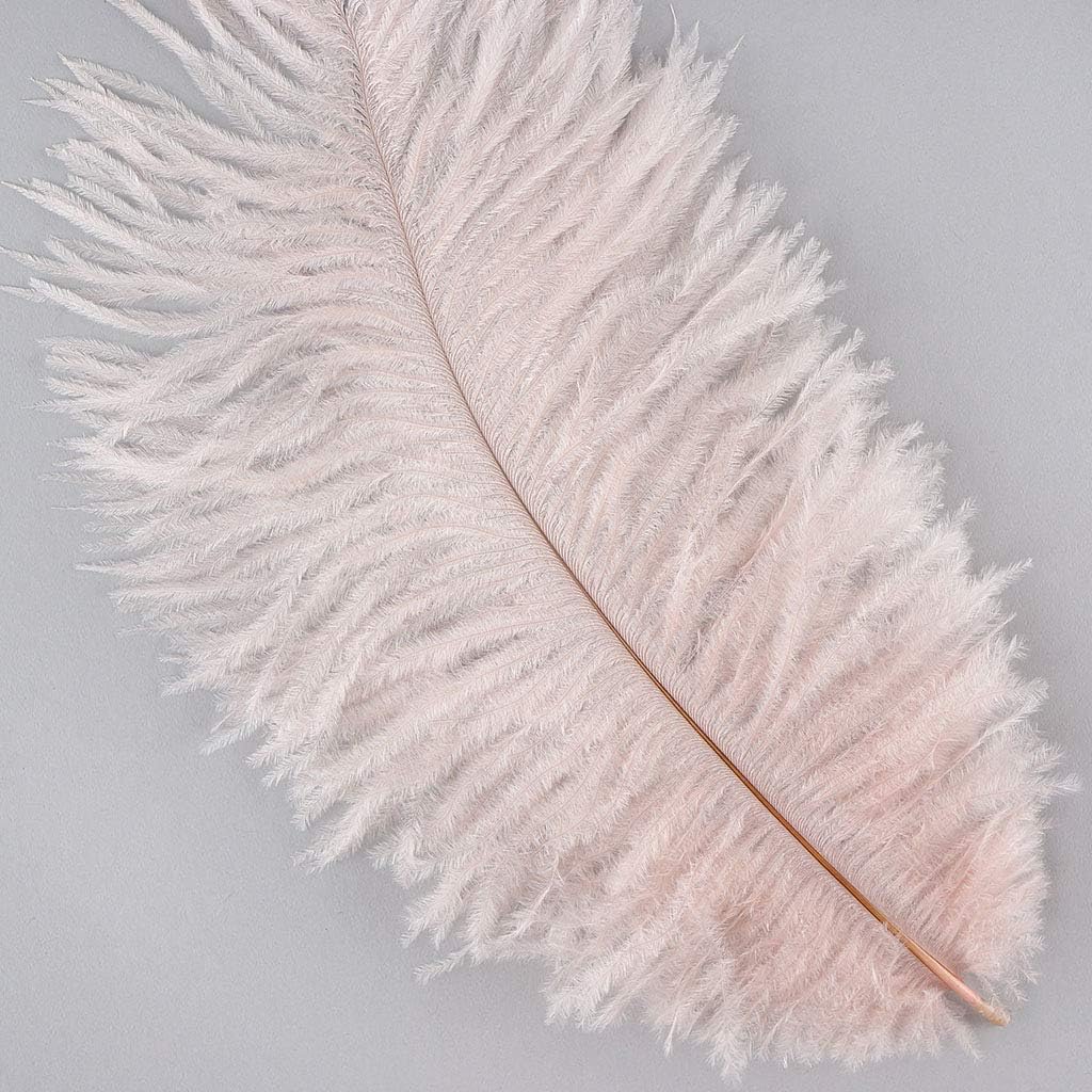 ZUCKER womens Ostrich Feather