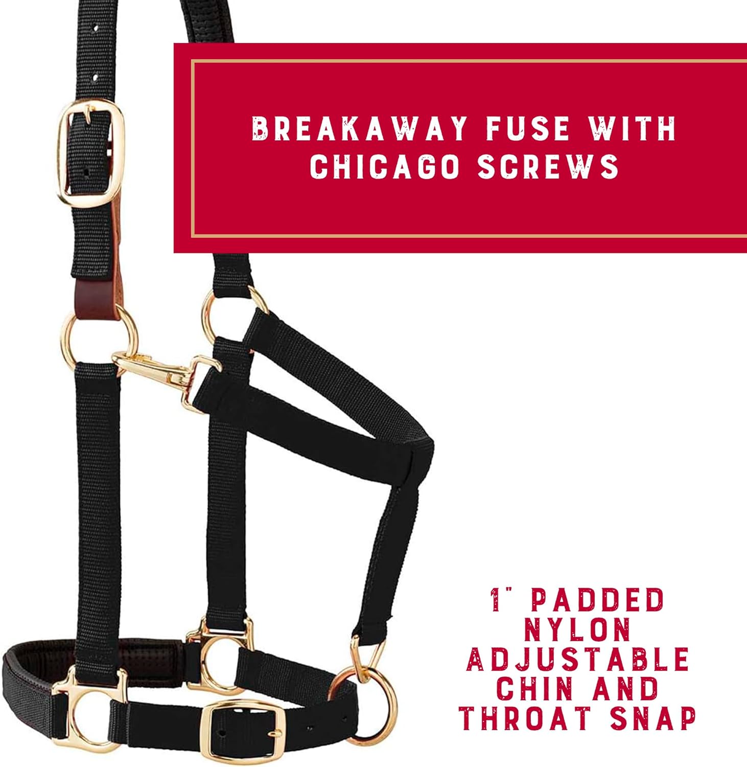 Weaver Equine Breakaway Horse Halter, Comfort Foam Padding, Adjustable Chin & Throat Snap Halters for Horses, Equine Tack,Average Size