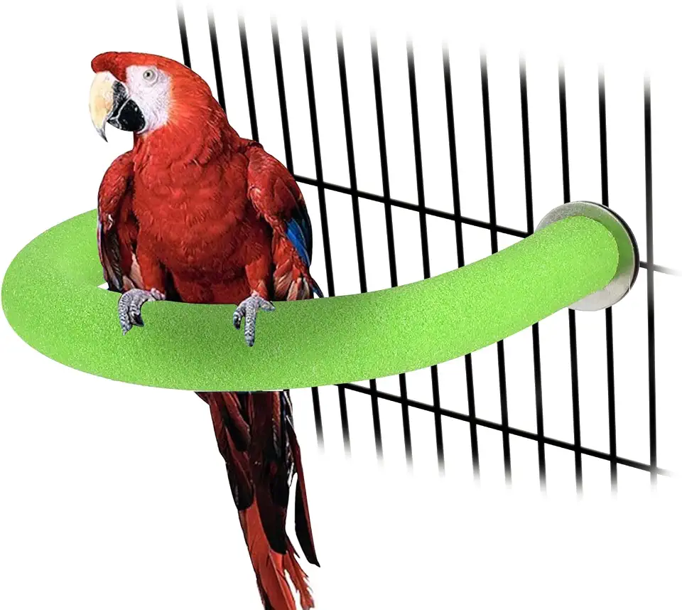 Picture of Creating The Perfect Macaw Cage: A Step-By-Step Guide | PetShun