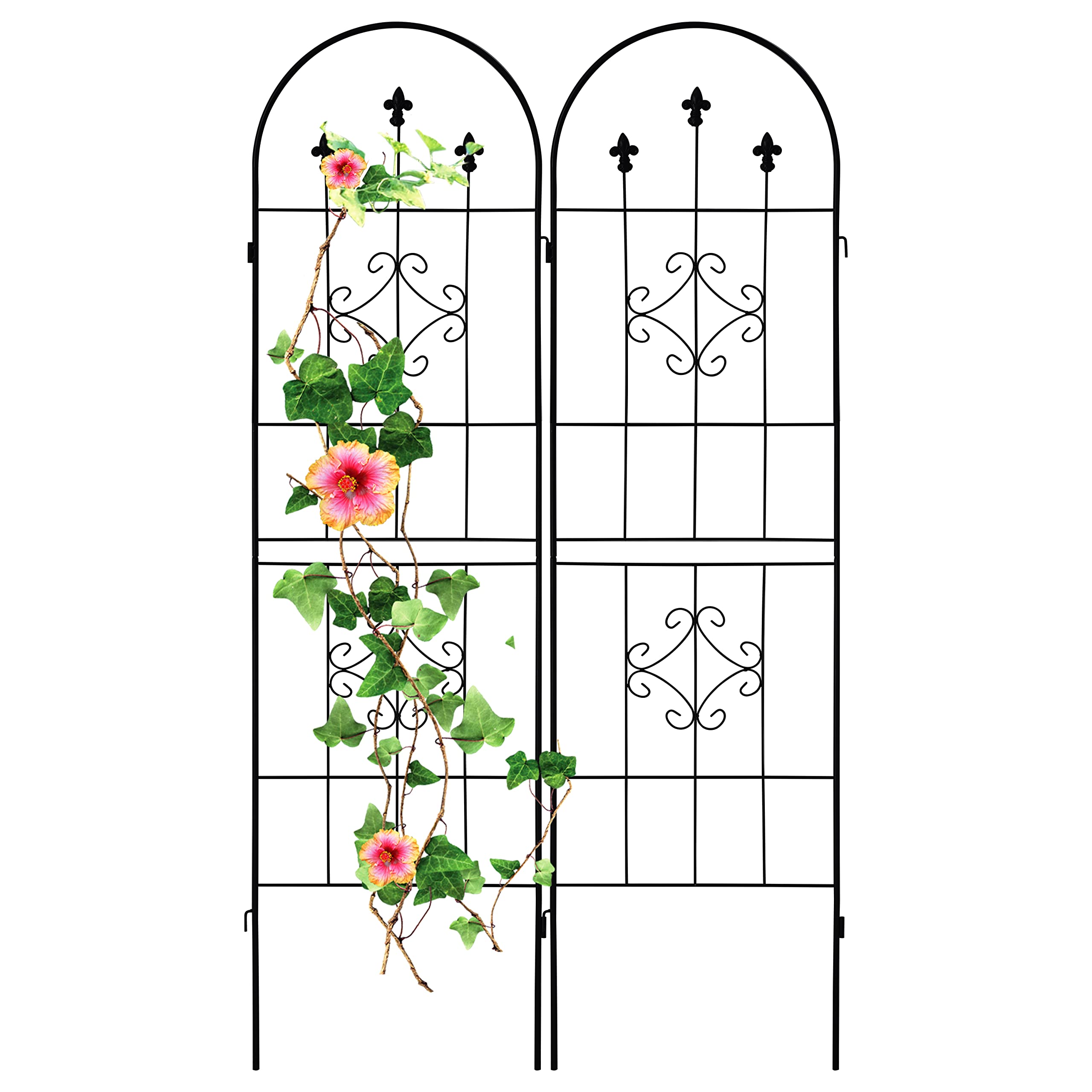 LZRS 2 Pack Rustic Garden Trellis with Black Coating Decorative Potted for Climbing Outdoor Roses Vines Flower Vegetable Supports