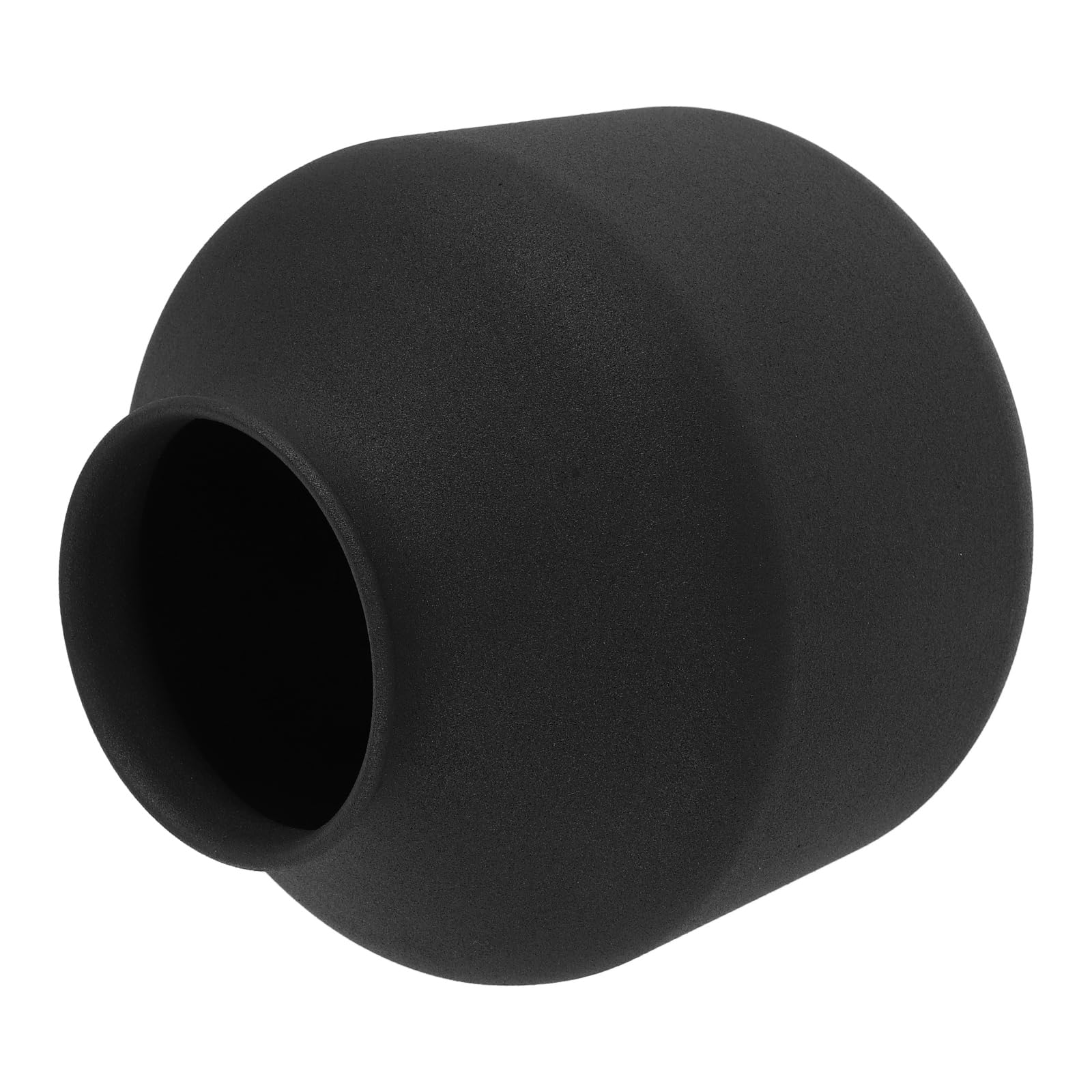 Vase en fer forgé noir mat de 21 cm pour fleurs séchées
