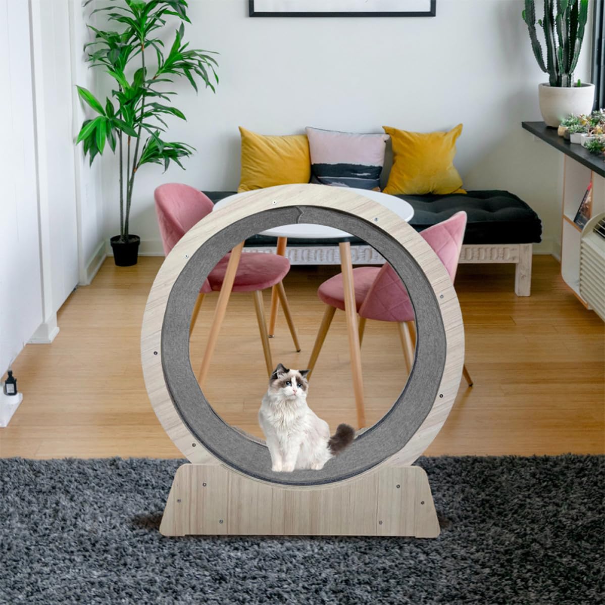 Laufradmatte für Katzen mit Lautlosem Lauf, 80cm Innendurchmesser