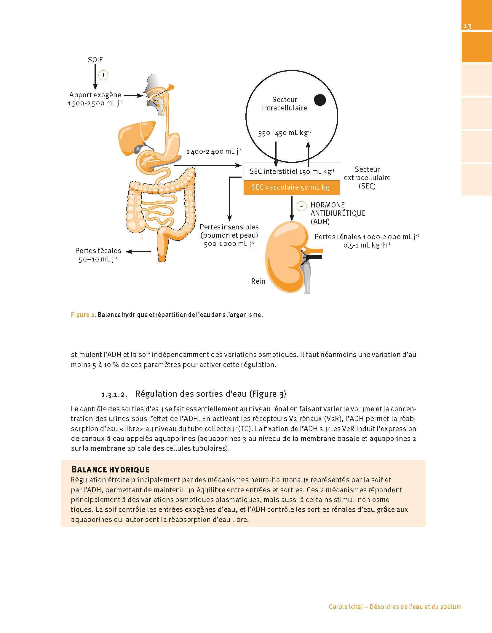 Manuel de nutrition, métabolisme et pathologies digestives appliqués en anesthésie-réanimation et médecine péri-opératoire