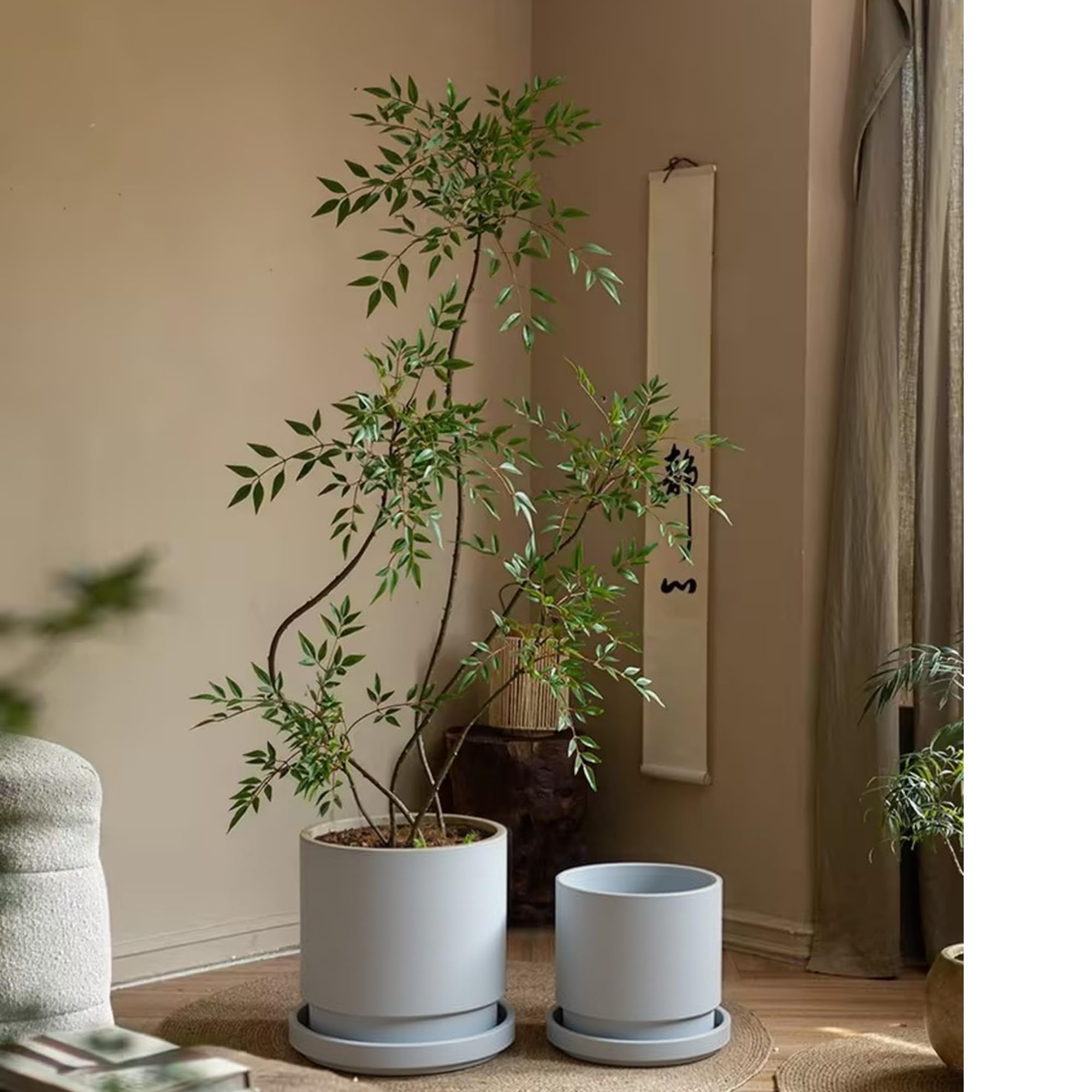 テクスチャー陶器植木鉢 ホワイト・グレー受け皿付き Amazon.co.jp: Greenship 植木鉢 受け皿付き 7号（φ21CM） マット質感