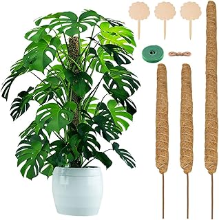 QMCAHCE 3Pack Moss Pole for Plant Monstera, 24-40Inch Adjustable Plant Support Sticks, Bendable Support Stakes for Indoor Plant, Coir Totem Coir Pole for Plants Climbing, Train Creeper Plants Grow